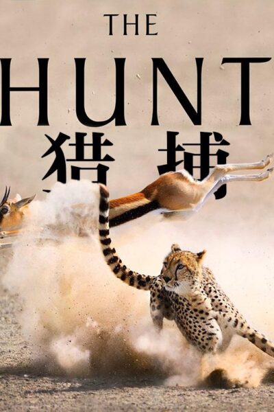 The Hunt