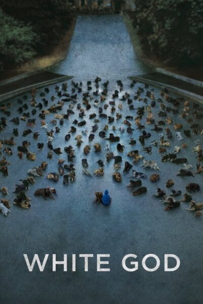 jT9IjPwA5aIYlgvC55VxJOLc0sI