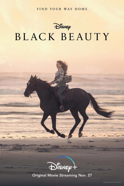 Black  Beauty