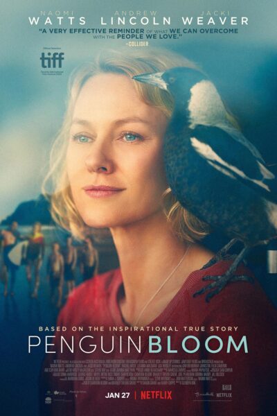 Penguin  Bloom